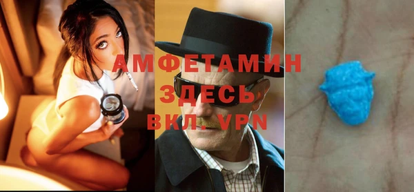 стаф Алзамай