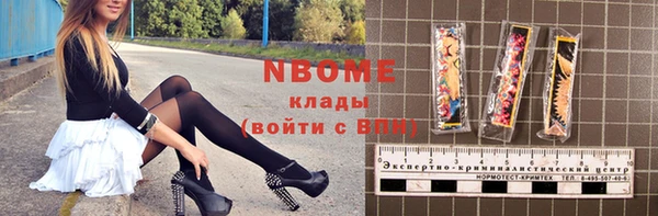 стаф Алзамай